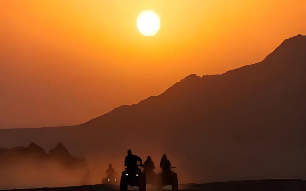 sunset safari