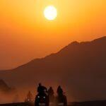 sunset safari