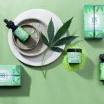 custom cbd boxes