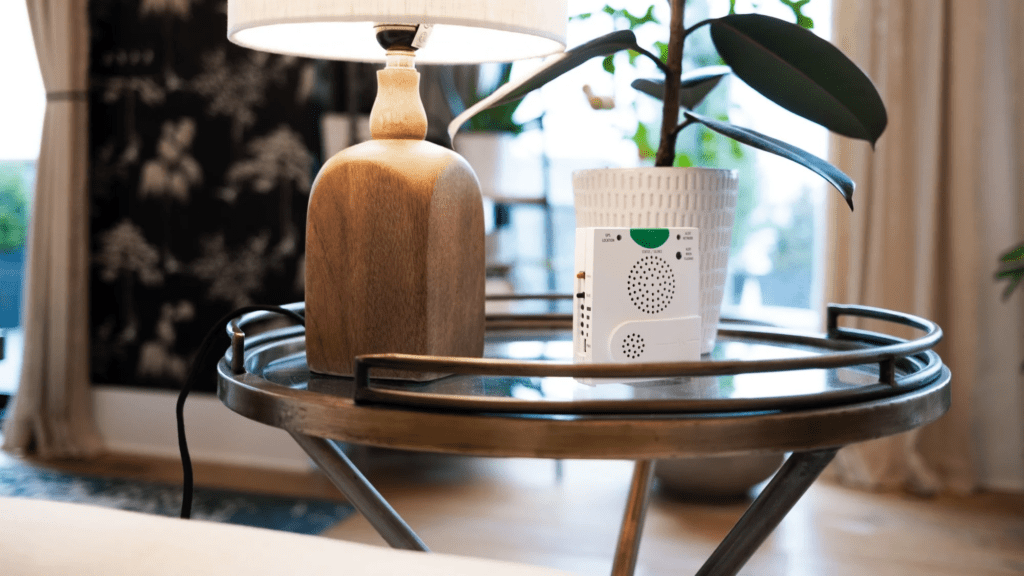 earthquake safety devices