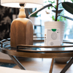earthquake safety devices