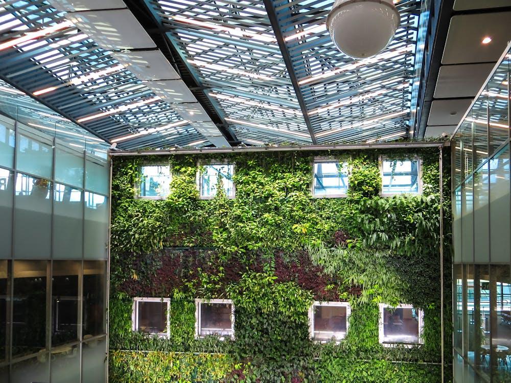 indoor plants
