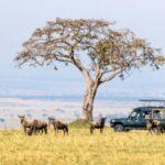 kenya