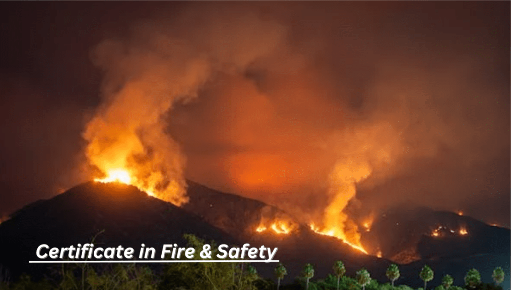 certificate in fire & safety