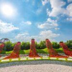dubai miracle garden