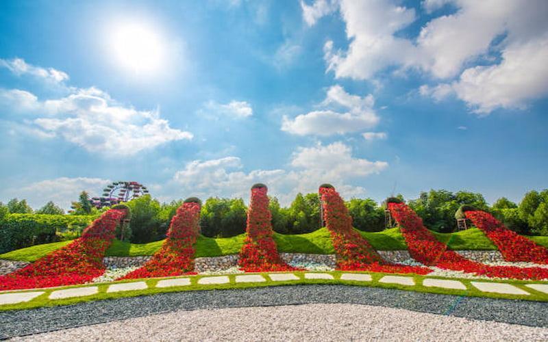 dubai miracle garden