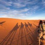 evening desert safari