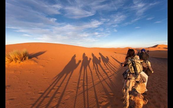 evening desert safari