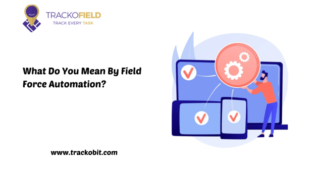 Field Force Automation