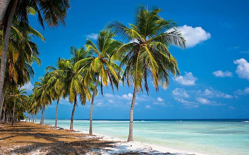 lakshadweep