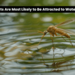 pests