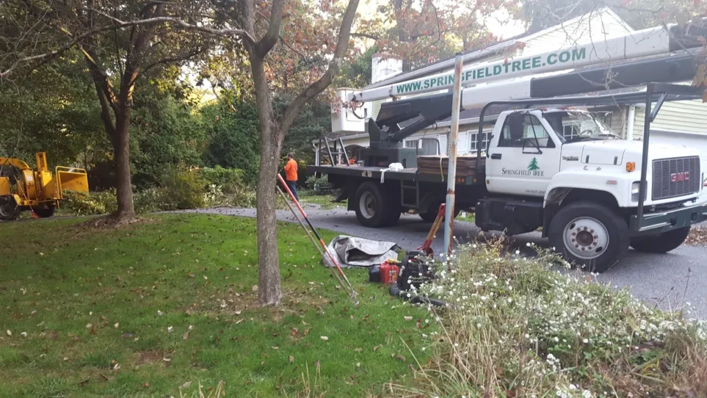 tree services