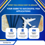 visa consultancy