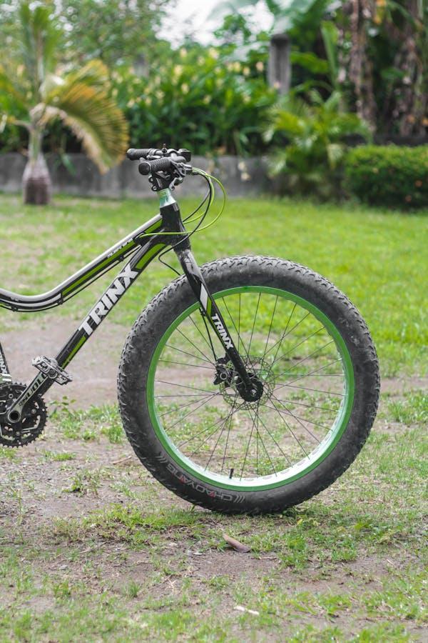 fat tire eclectic bike
