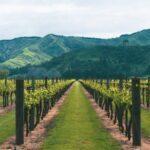 road trips in new zealand