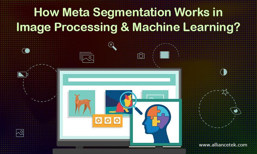 meta segmentation